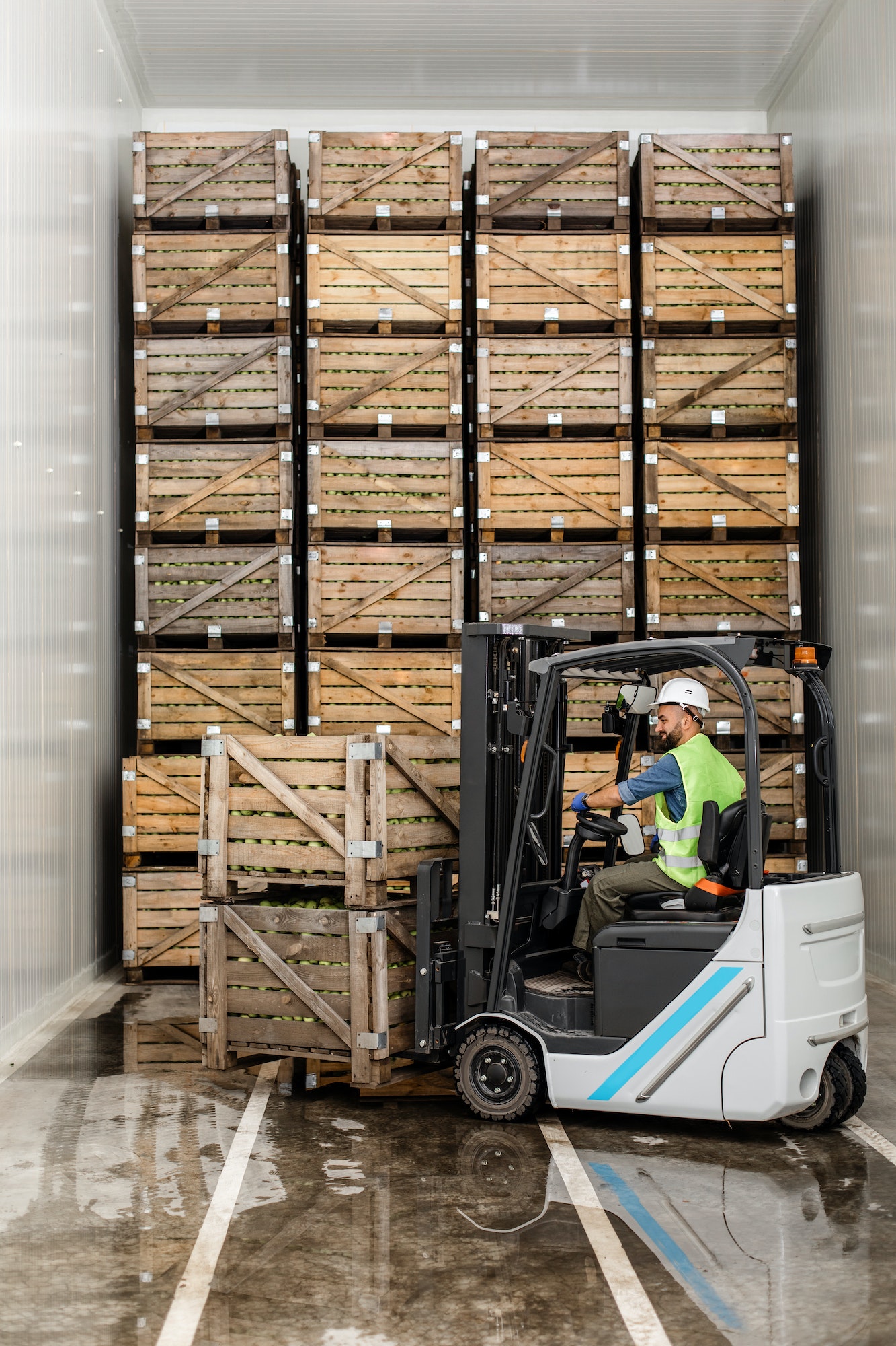 Modern warehouse, work on forklift, industry and organic agribusiness